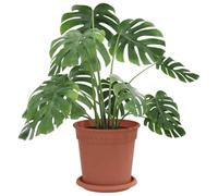 vidaXL Pots de plantes Lot de 6 cylindriques Ø17×14 cm Plastique Rouge brique