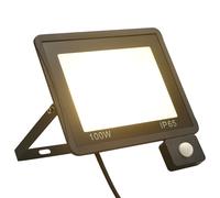 Projecteur à LED avec capteur 100 W Blanc chaud