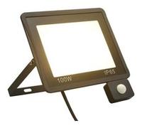 vidaXL Projecteur à LED avec capteur 100 W Blanc chaud Blanc G