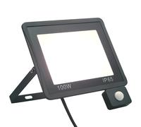 vidaXL Projecteur à LED avec capteur 100 W Blanc froid Blanc G