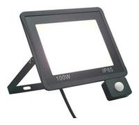 vidaXL Projecteur à LED avec capteur 100 W Blanc froid Blanc G