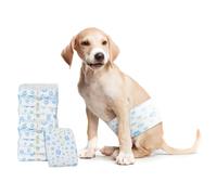 vidaXL Protection Hygiénique Jetable pour Chien Mâle 30 pcs Blanc M, Style architectural, formes rectangulaires, design moderne, concepts en 2 dimensions, efficacité structurelle, espaces fonctionnels