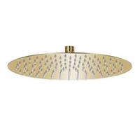 vidaXL Regendouchekop rond 30 cm roestvrij staal goudkleurig147705 G