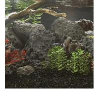 Vidaxl Roches Volcaniques 10 Kg Noir 10-30 Cm