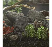 vidaXL Roches volcaniques – Pierres de lave d'aquarium 10 kg Noir 10-30 cm