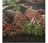 vidaXL Roches volcaniques (pierres de lave) - Décor aquarium et jardin - 10 kg Rouge 10-30 cm