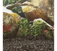 Vidaxl Roches Volcaniques 25 Kg Noir 5-8 Cm