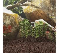 Vidaxl Roches Volcaniques 25 Kg Rouge 1-2 Cm