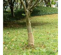 Vidaxl Rouleau De Jute 0,25x5 M 100 % Jute 200 G/M²
