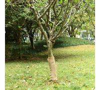 vidaXL Rouleau de jute 0,5 x 15 m 100 % jute 200 g/m²