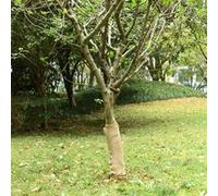 vidaXL Rouleau de Jute, Ruban pour Bricolage Artisanat, Chemin de Table pour Mariage Fête Décoration Intérieur, 0,5x10 m 100 % Jute 200 g/m² G