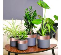 vidaXL Ruban en Cuivre 6 pcs Cuivre 2000 x 5 cm