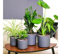 vidaXL Ruban en Cuivre 6 pcs Cuivre 2000 x 5 cm