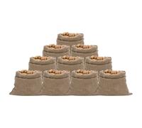 vidaXL Sacs en Jute 10 pcs, Protection de Plantes, Sac de Rangement, Couverture de Plantes Contre Gel, 100x110 cm 100% Jute 220 g/m²