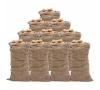 vidaXL Sacs en Jute 10 pcs, Protection de Plantes, Sac de Rangement, Couverture de Plantes contre Gel, 65x135 cm 100% Jute 220 g/m²