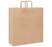 vidaXL Sacs en Papier Kraft 50 pcs avec poignées Marron 45x17x48 cm