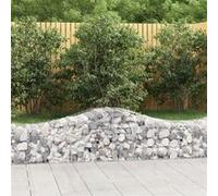 Vidaxl Paniers À Gabions Arqués 11 Pcs 200x50x40/60 Cm Fer Galvanisé