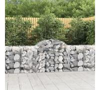 Paniers à gabions arqués 2 pcs 300x50x140/160 cm fer galvanisé gabion vidaXL