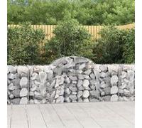 vidaXL Schanskorven 15 st gewelfd 200x50x80/100 cm ijzer3146312 G