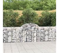 vidaXL Schanskorven 18 st gewelfd 200x30x80/100 cm ijzer3146103 G