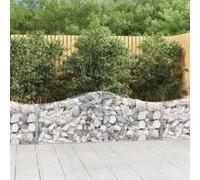 vidaXL Schanskorven 20 st gewelfd 200x30x60/80 cm ijzer3145403 G