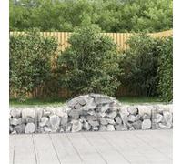 vidaXL Schanskorven 20 st gewelfd 200x50x40/60 cm ijzer3146272 G