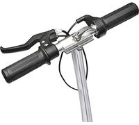 vidaXL Scooter électrique pliable 120 W noir