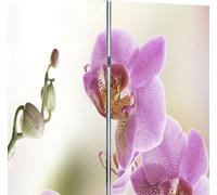 vidaXL Séparation de pièce pliable 217x170 cm Fleur