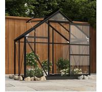 vidaXL Serre Anthracite 155x103x191 cm Aluminium et verre