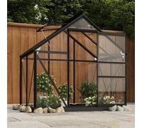 Serre en verre Anthracite 155x103x191 cm Aluminium