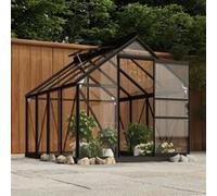 vidaXL Serre Anthracite 155x200,5x191 cm Aluminium et verre