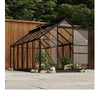 vidaXL Serre Anthracite 155x298x191 cm Aluminium et verre