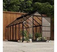 vidaXL Serre en Verre Abri Plantes Serre à Fleurs Serre à Plantes Légumes Jardin Patio Terrasse Extérieur Anthracite 155x298x191 cm Aluminium
