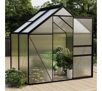 Vidaxl Serre Anthracite Aluminium 2,47 M²