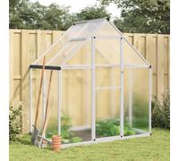 Vidaxl Serre Avec Cadre De Base Argent 169x114x195 Cm Aluminium