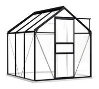 vidaXL Serre avec Cadre de Base Tente Abri Plantes Serre à Fleurs Serre à Plantes Serre de Jardin Serre d'Extérieur Anthracite Aluminium 3,61 m²
