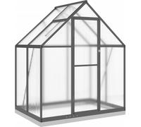 vidaXL Serre avec cadre de fondation anthracite 169x114x202 cm Alu