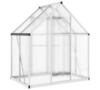 vidaXL Serre avec cadre de fondation argenté 169x114x195 cm Alu