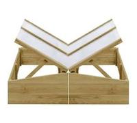 vidaXL Serres 2 pcs Bois de pin imprégné 100x50x35 cm Beige G