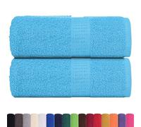 vidaXL Serviettes de toilette 2 pièces FROGN Turquoise 30 x 30 cm 100 % coton 136968 Bleu