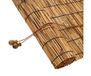 vidaXL Store Enrouleur Marron 100 x 160 cm Roseau, Stores enrouleurs rustiques, Rideaux filtrants UV, Pare-Soleil réglable pour Salon, Chambre, Cuisine