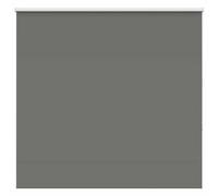 vidaXL Store enrouleur occultant 4011164 – largeur du tissu 146,6 cm – polyester – Gris