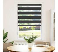 vidaXL Store Enrouleur Tamisant 50x100 cm Noir Store Occultant Fenêtre Chambre 240188