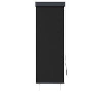 vidaXL Store extérieur 60 x 250 cm Anthracite
