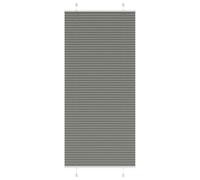 Vidaxl Store Plissé Anthracite 100x200 Cm Largeur Du Tissu 99,4 Cm
