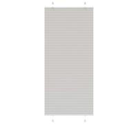 Vidaxl Store Plissé Gris Clair 100x200cm Largeur Du Tissu 99,4 Cm