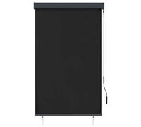 Vidaxl Store Roulant D'extérieur 100 X 250 Cm Anthracite