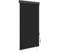 vidaXL Store Roulant d'Extérieur Store Rétractable Vertical Balcon Jardin Pergola Terrasse Patio Blocage des UV et de la Chaleur 100x250 cm Anthracite
