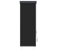 Vidaxl Store Roulant D'extérieur 60 X 250 Cm Anthracite