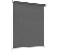 vidaXL Store roulant d'extérieur 60x230 cm Anthracite Anthracite G